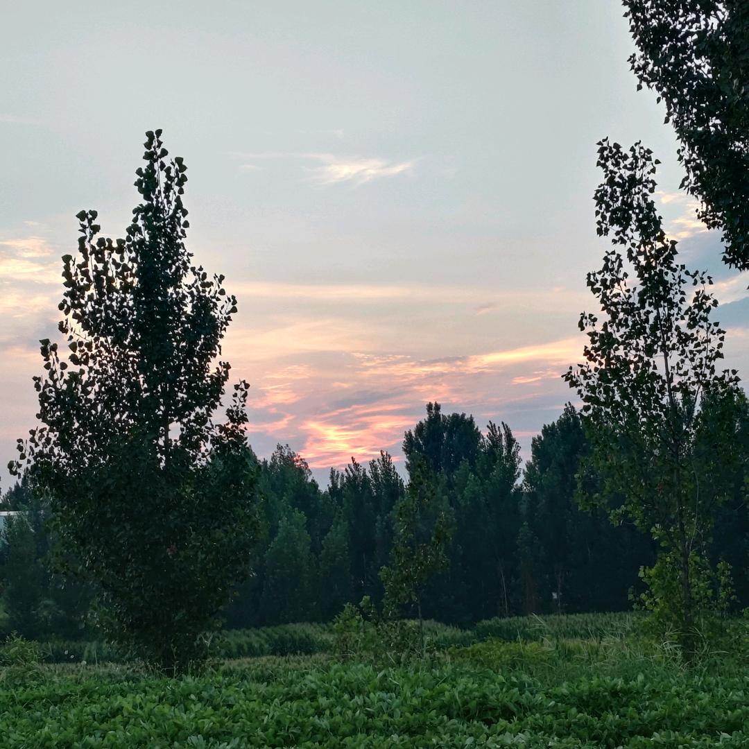 农村宝妈9.00首播