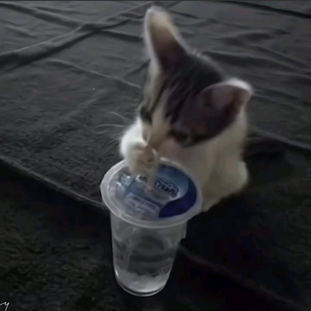 小宇