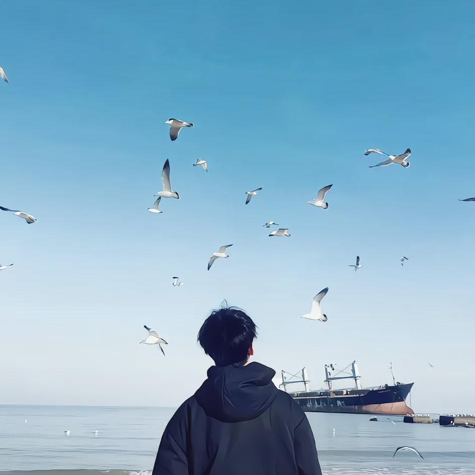 琉星know