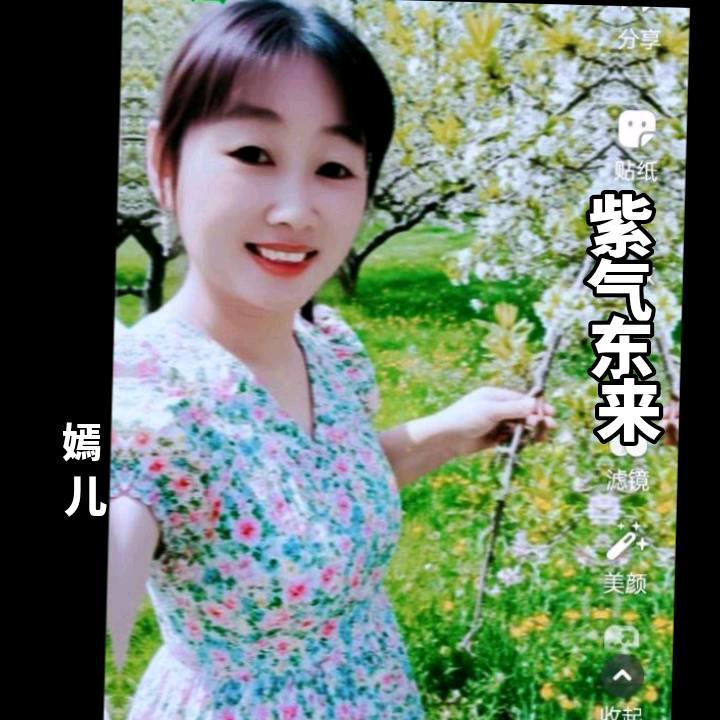 紫嫣