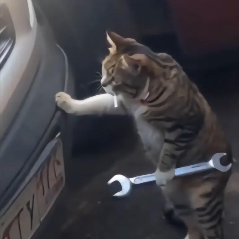 柳林辉武搏击—杨教练