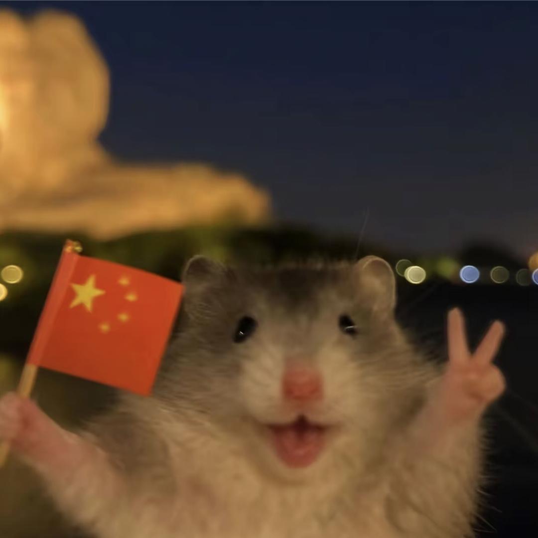 -酣睡小熊