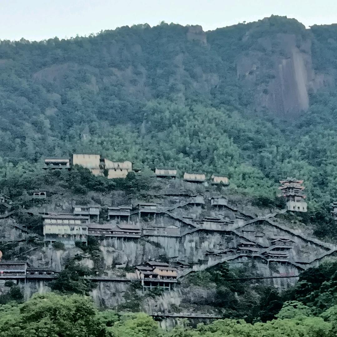 何情合理