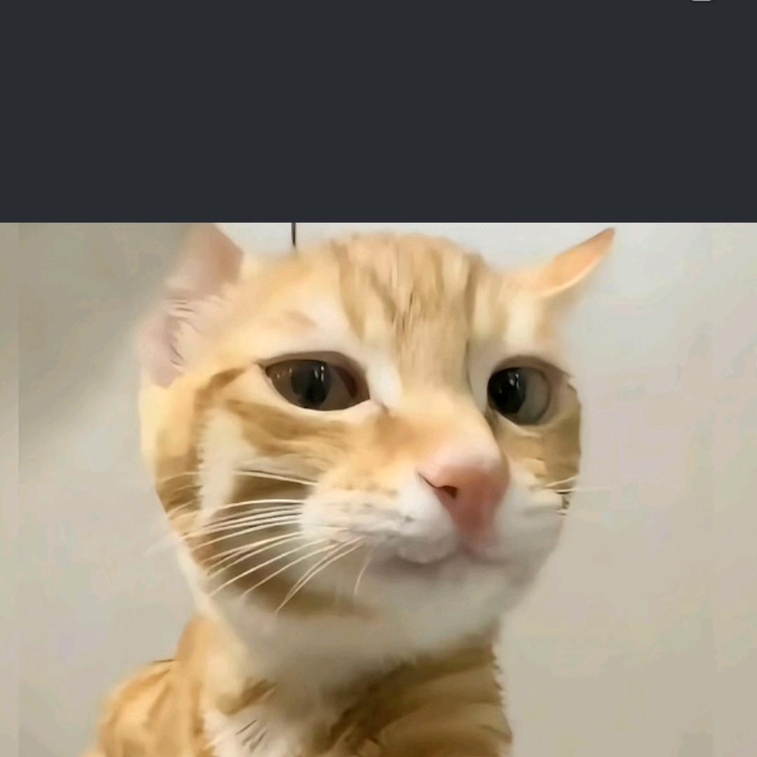 那时候