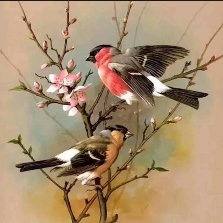 阿卜杜克热木886🌿🌿🌿🌿🌿