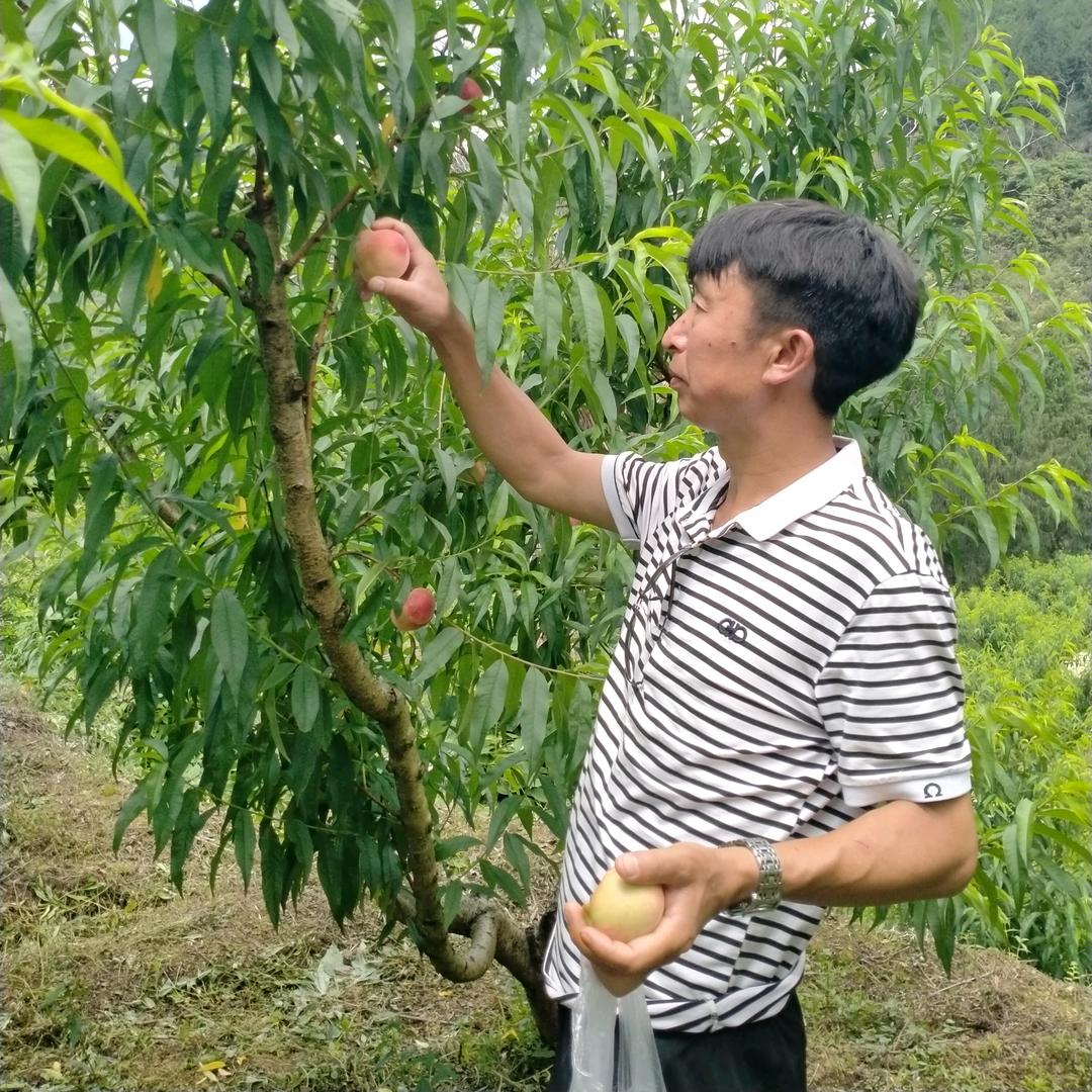 五一村垂钓园