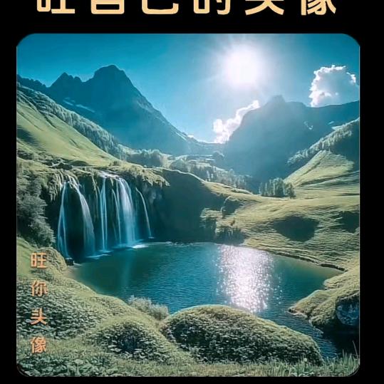 傲雪寒梅