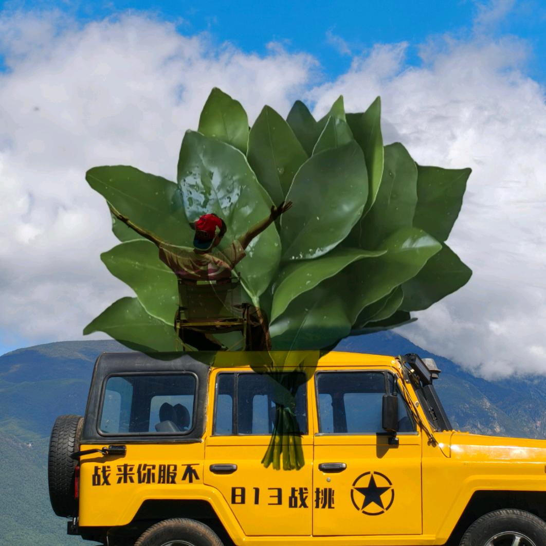 勾啊勾🪝（懒猪版）