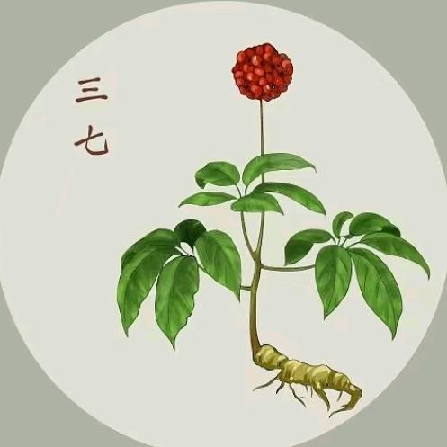 识本草