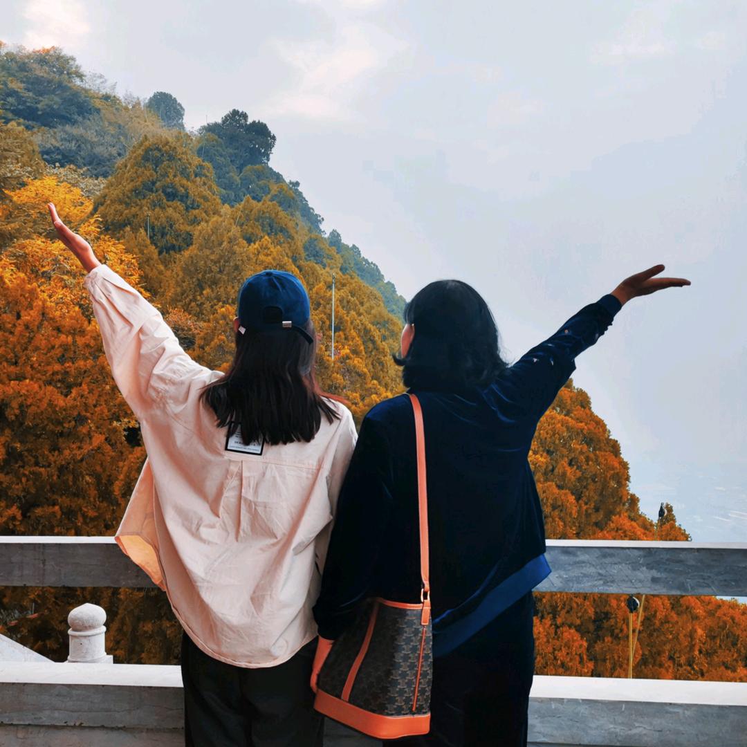 张家人🎤🌴🌻🌴🌻