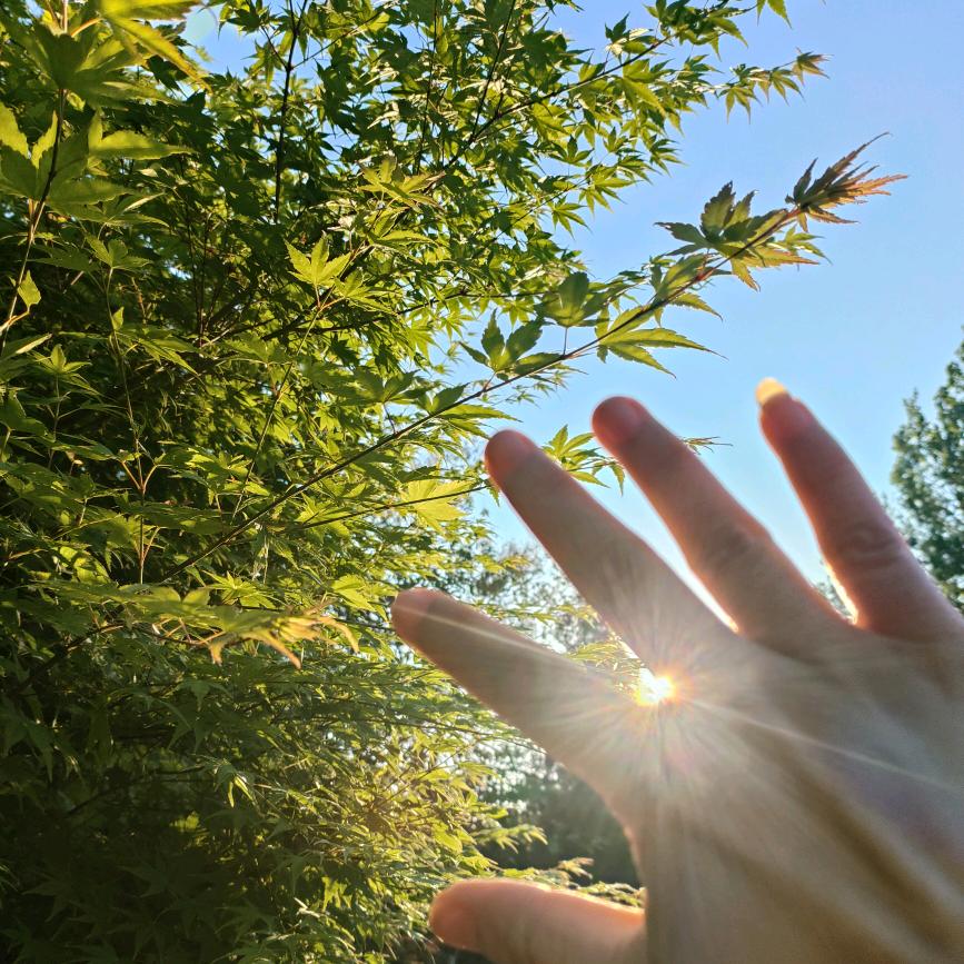 伊姐的养生日记