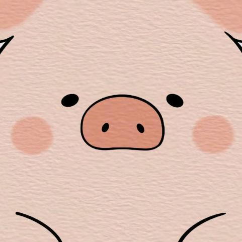 哈基米小东（超体拳王）