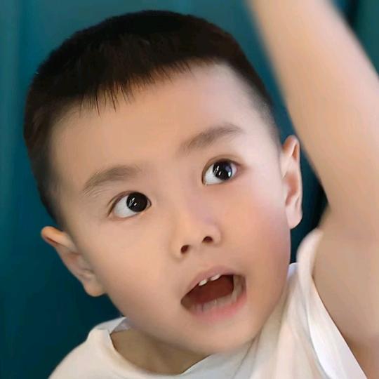 🐉一切随缘 🐉🐇