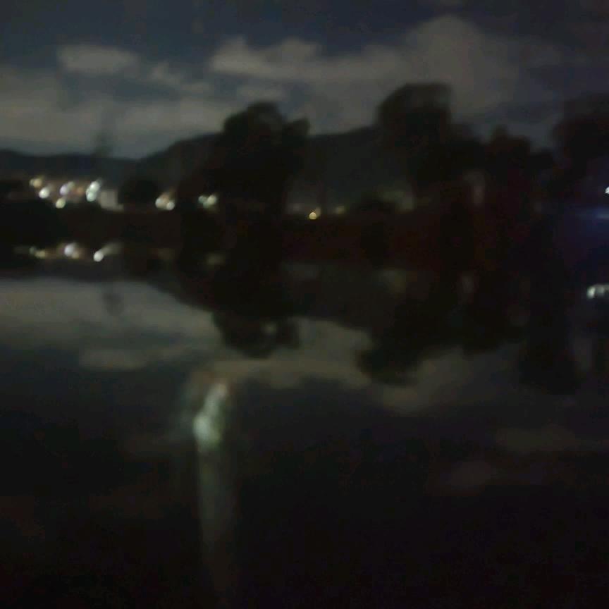 我就是个大傻子