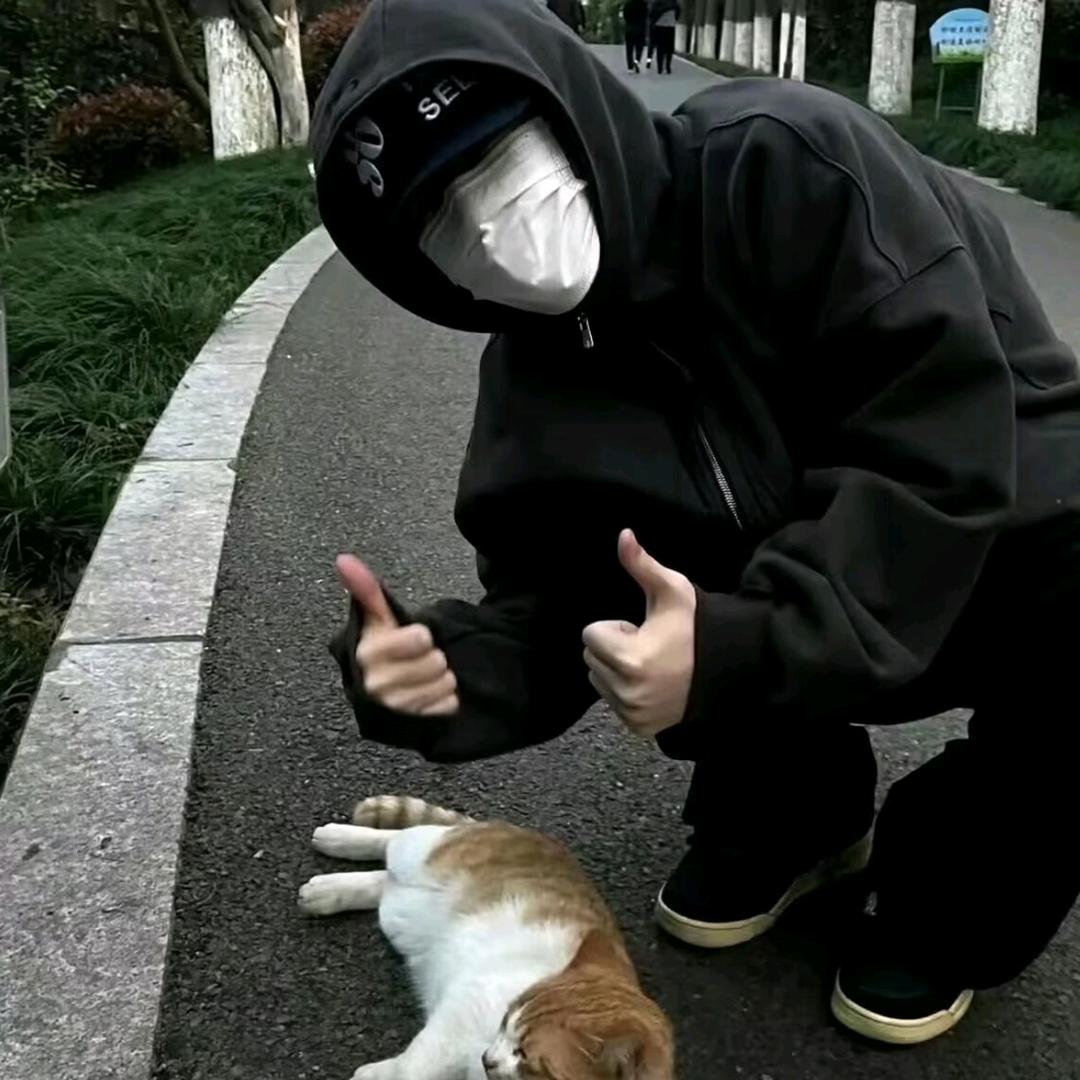 海哥情感