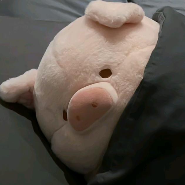 杨 y🐑
