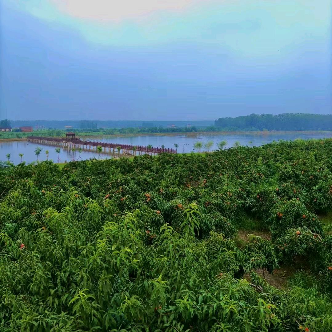 岁月无声