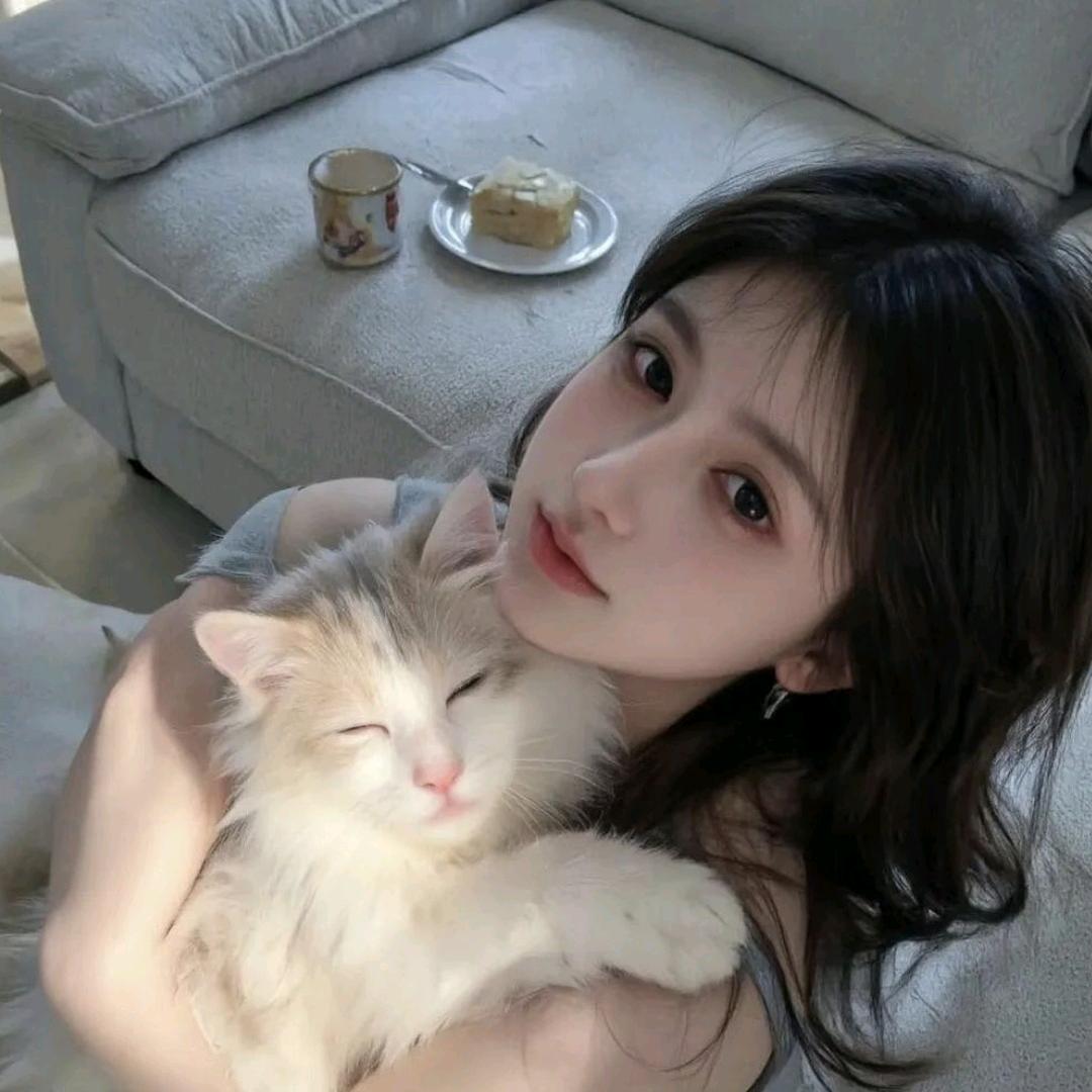 小羊数星星
