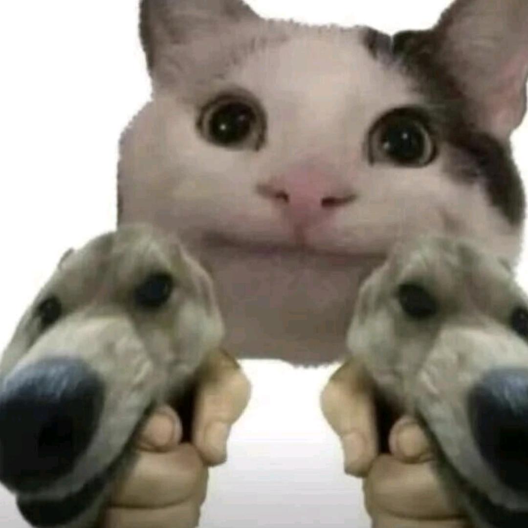 用户29976696326