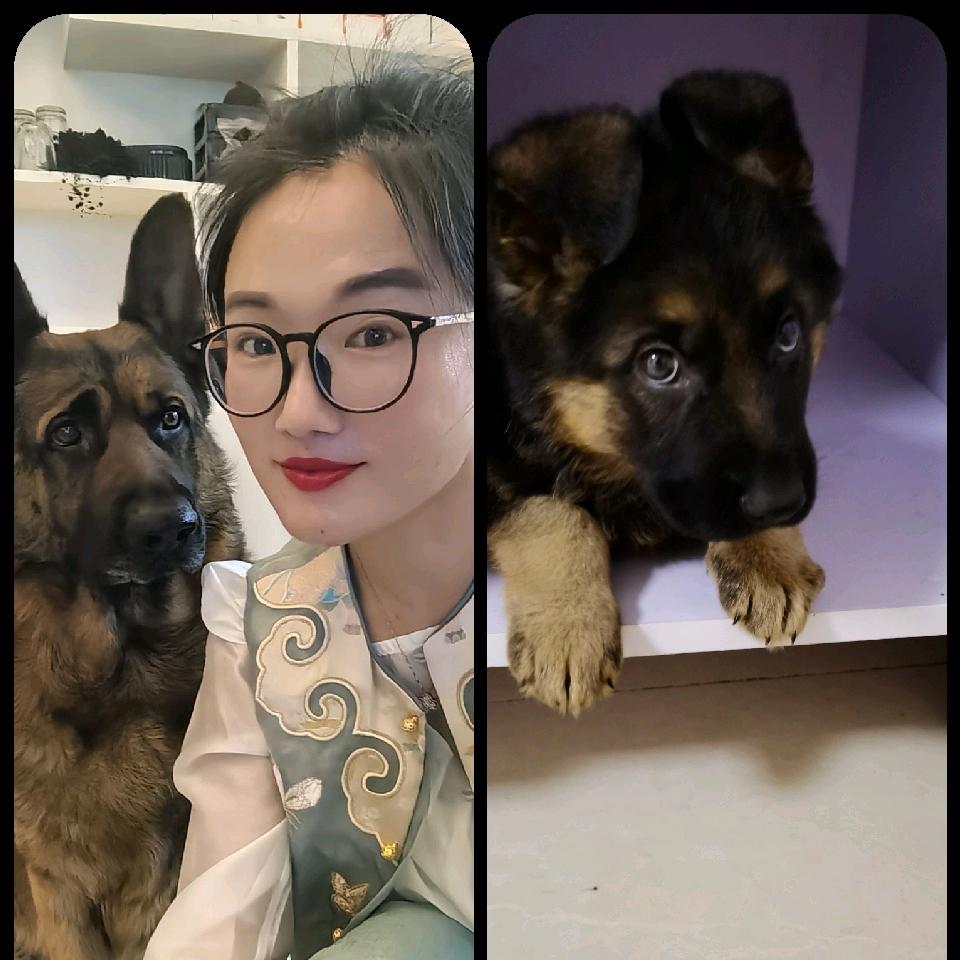 家有猛宠