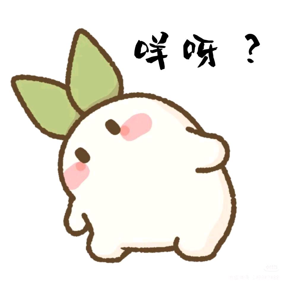 坏坏的兰夜