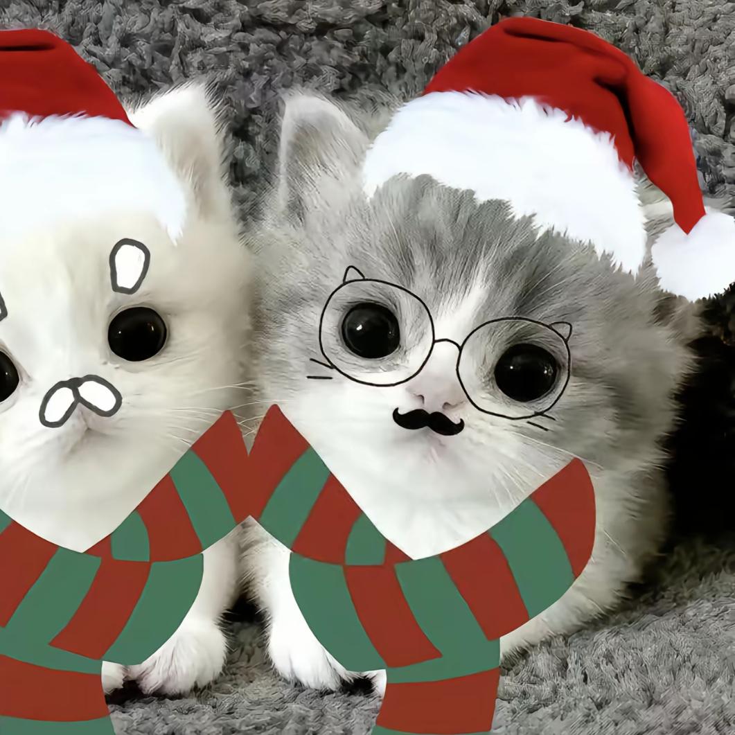 爱吃包子的刺猬