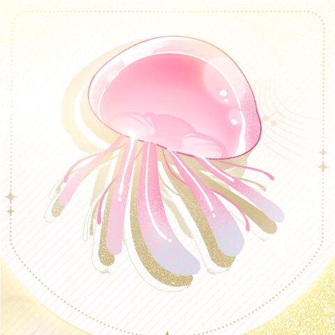 狸狸