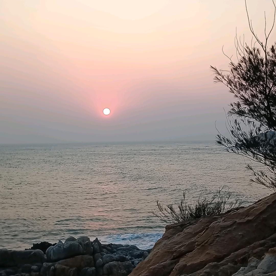 ༺།༼࿄࿆既不回头࿅࿆༽།༻