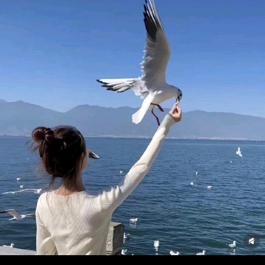 💫💝马到成功💖💎