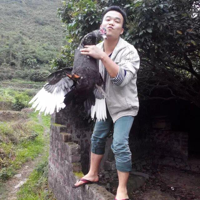 ₅²⁰夜巴黎¹ᶟ₁₄