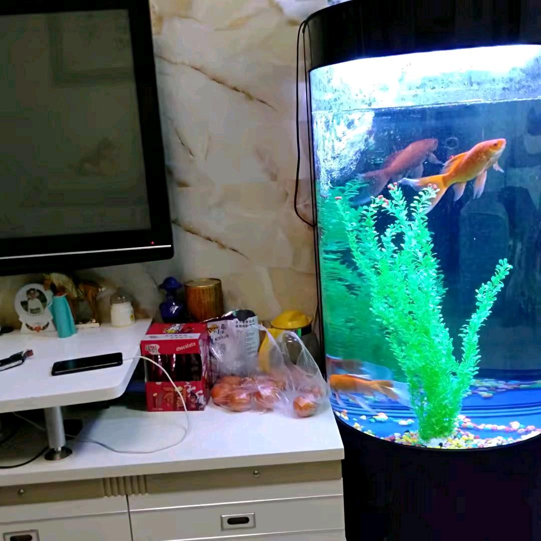 佛缘，