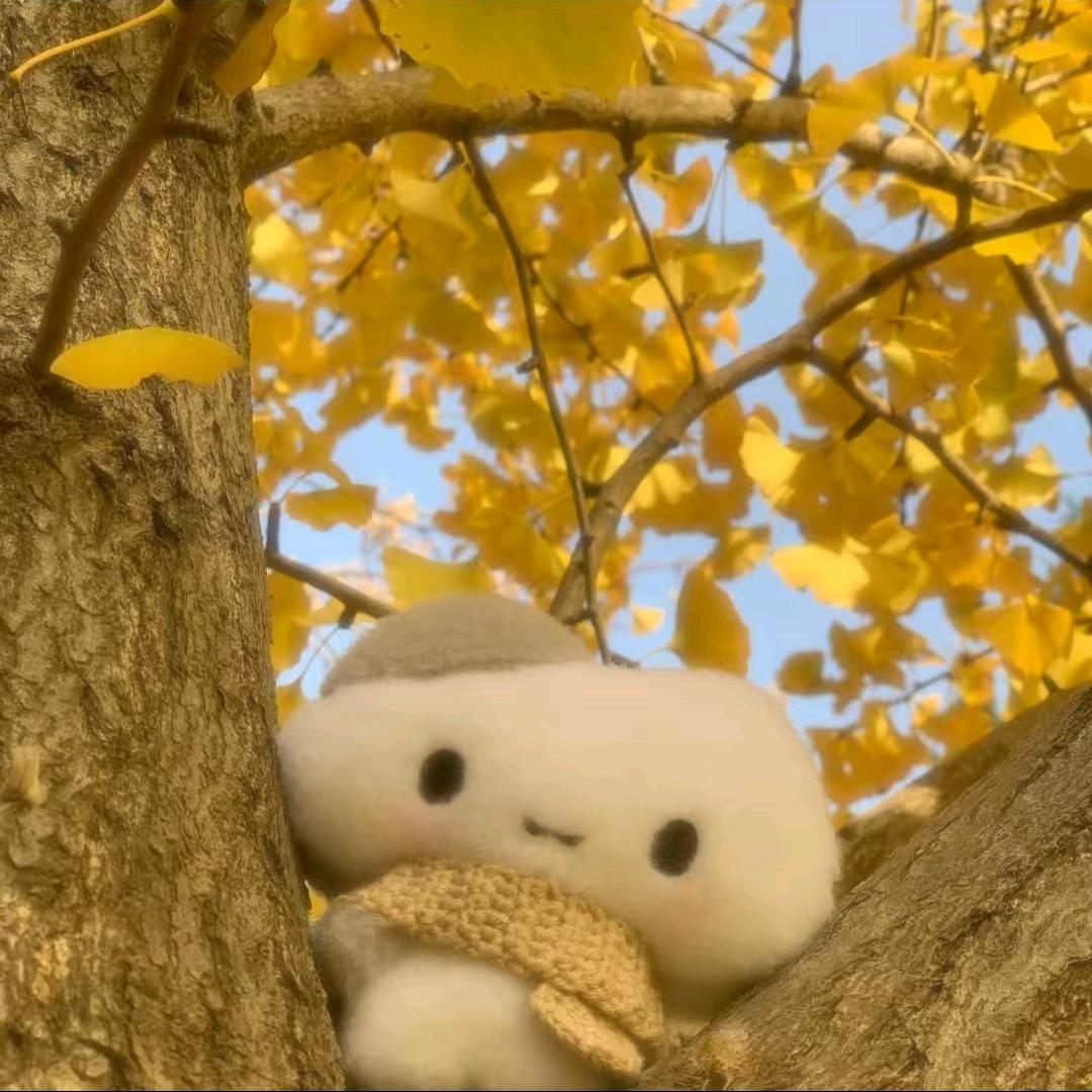 果茶圆圆头像