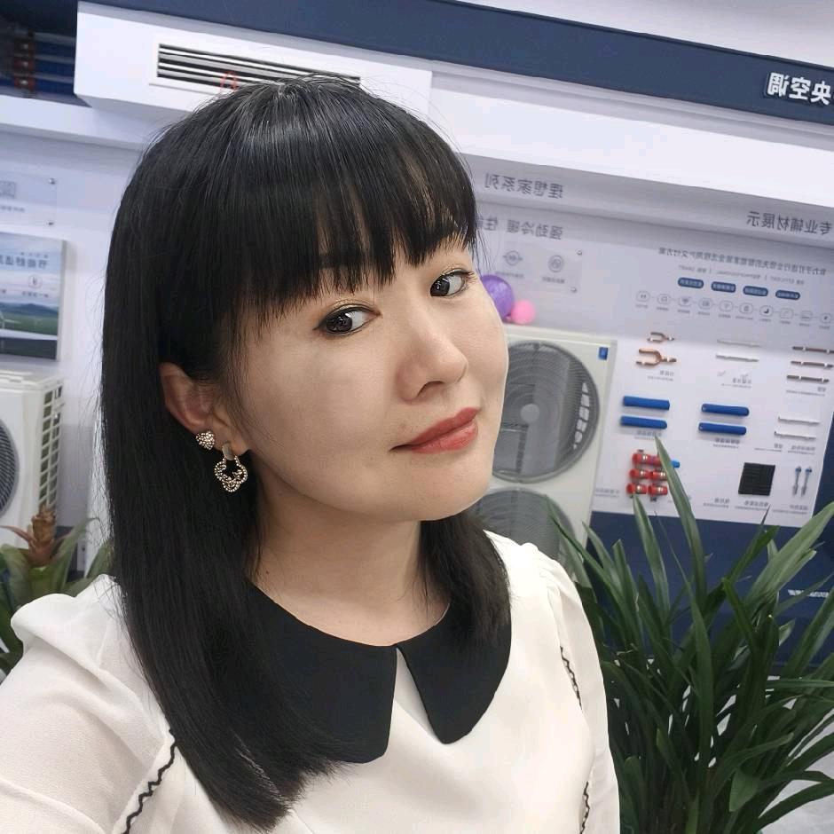 益阳美的智慧家（太一格店）海燕