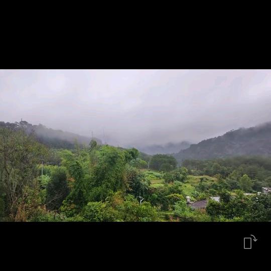 小花
