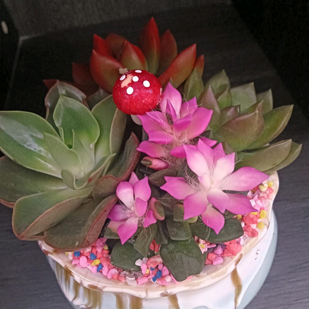 缘分❤️❤️