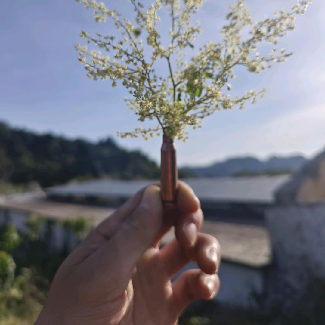 奥德标
