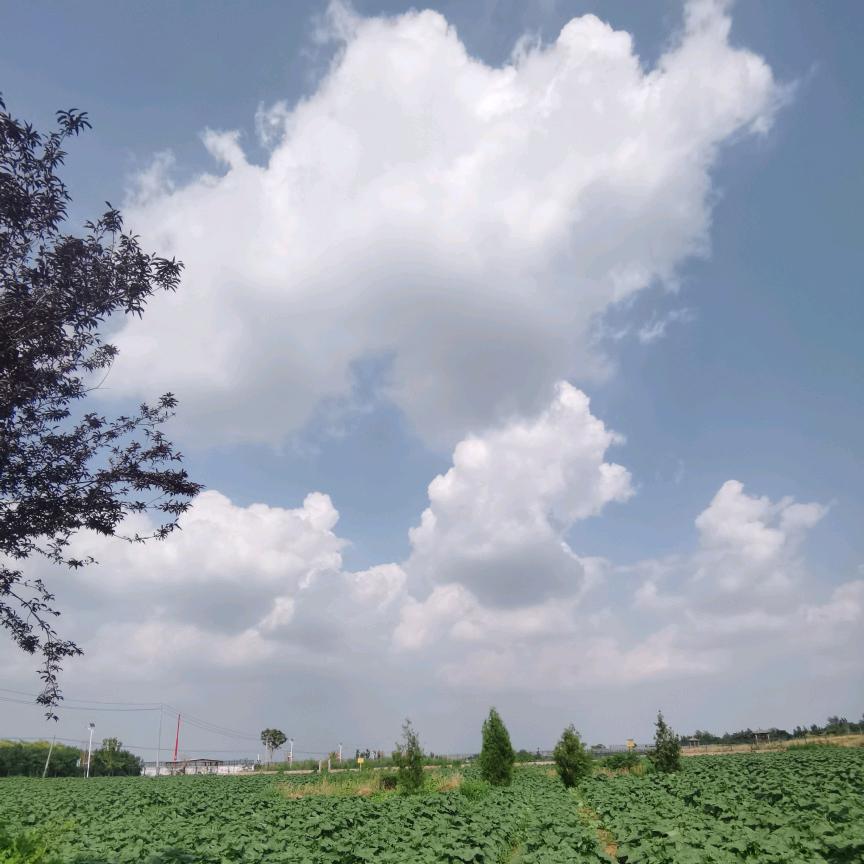 YY  ╄→失呿の靑舂