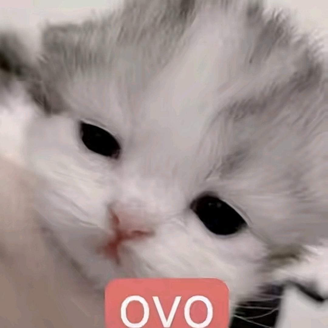 南荊