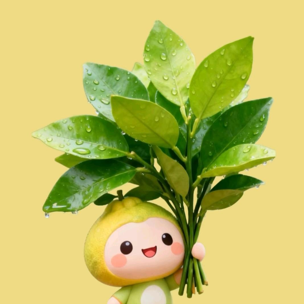 ღ᭄不念过往ꦿ᭄࿐