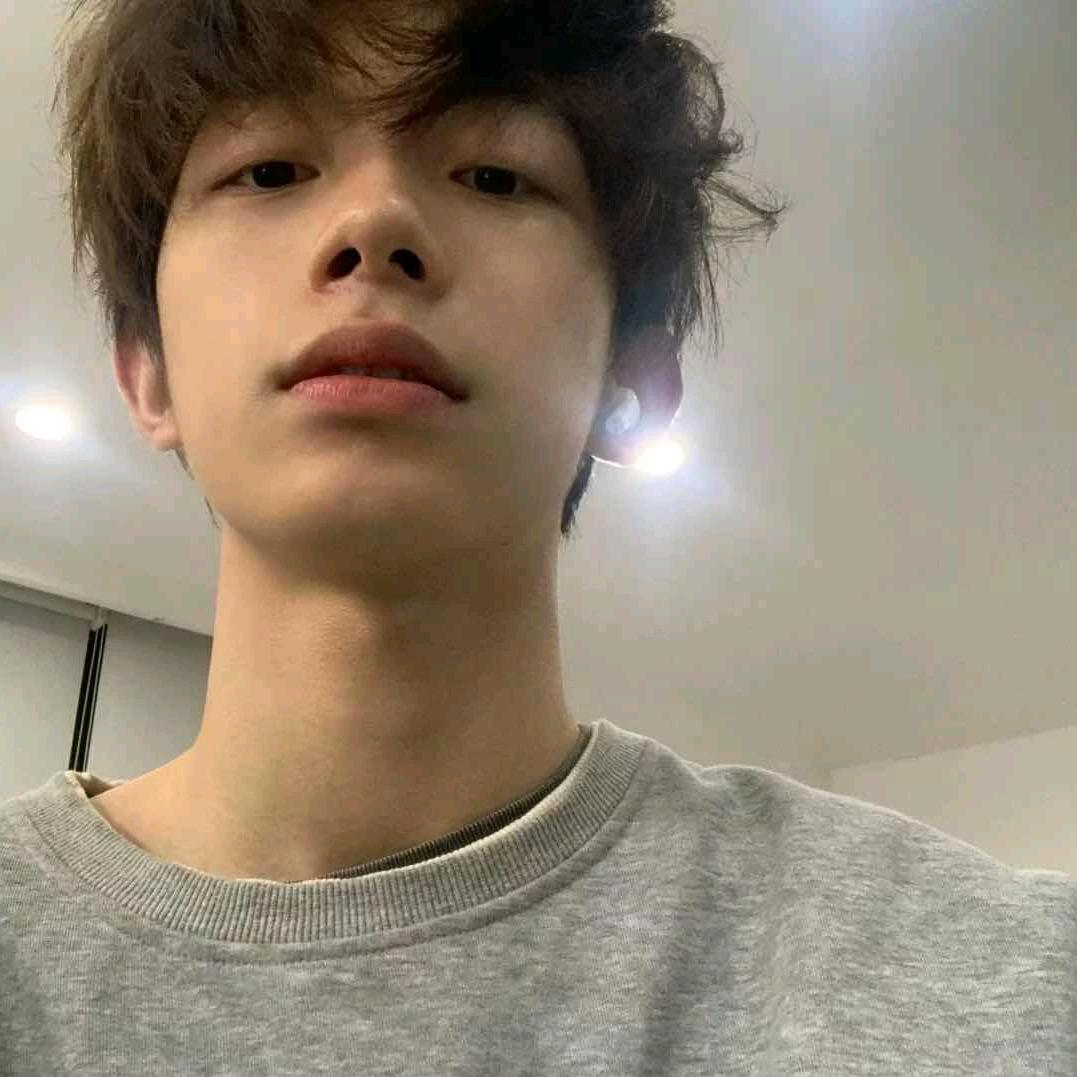 一只狗