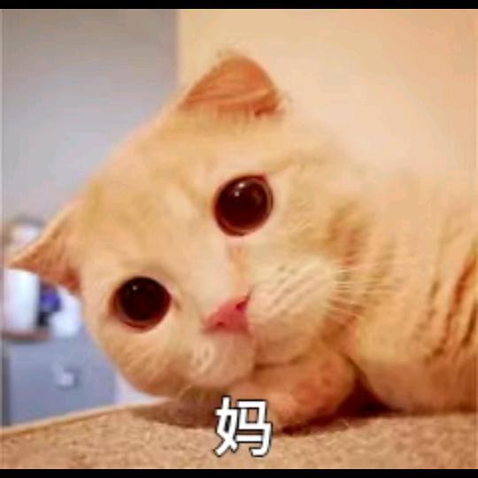 醉眠花下