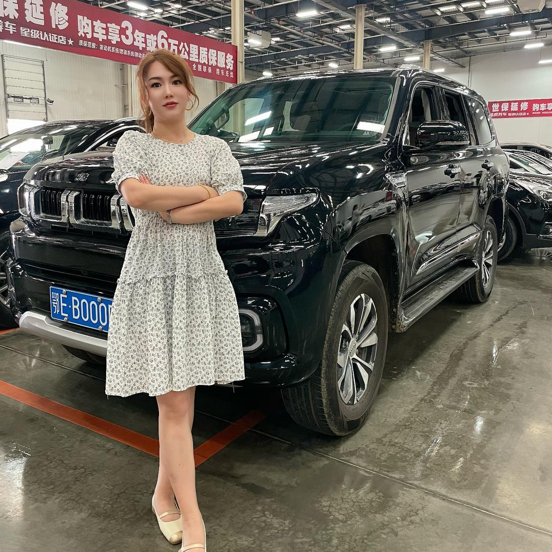 沈阳橙子二手车