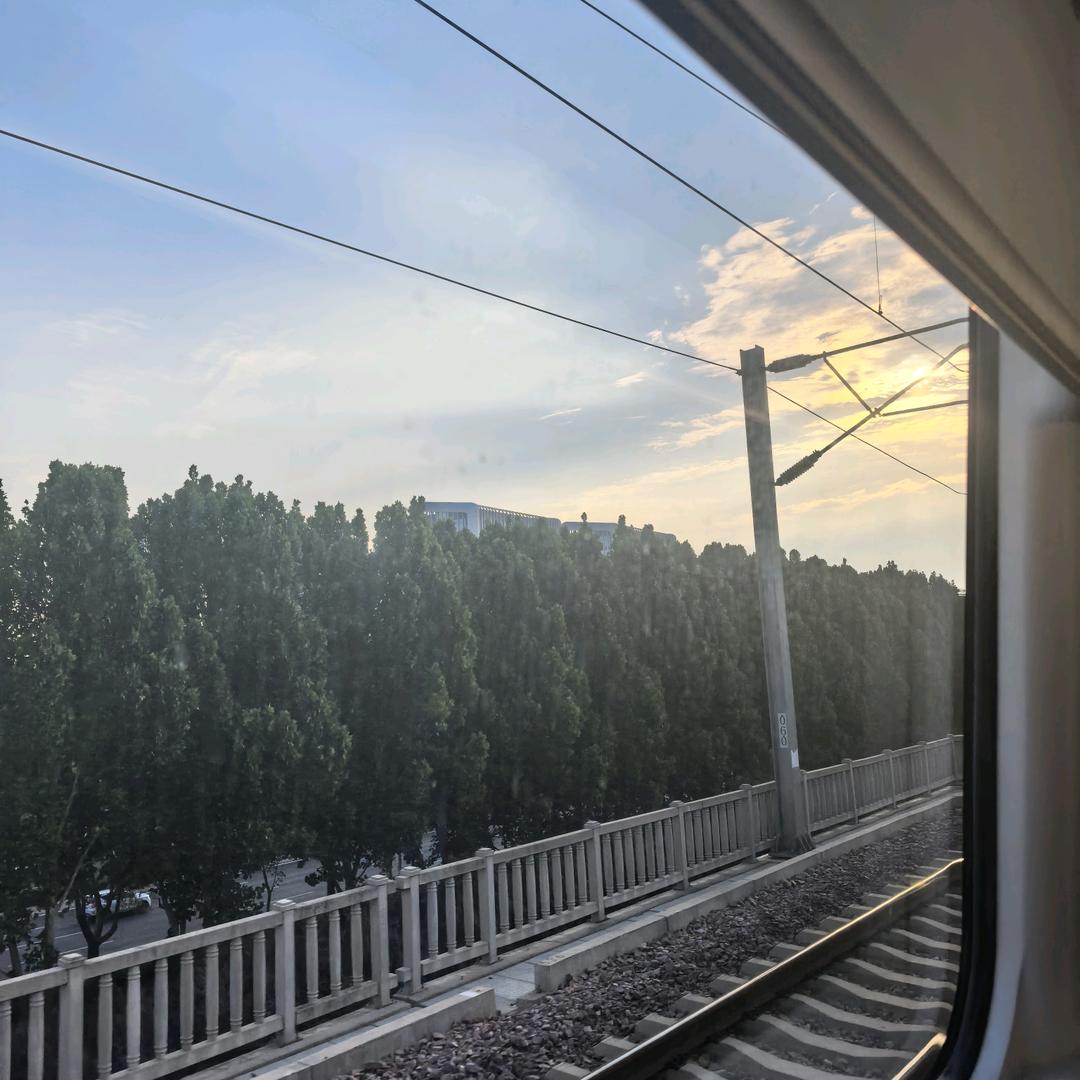 规培小李