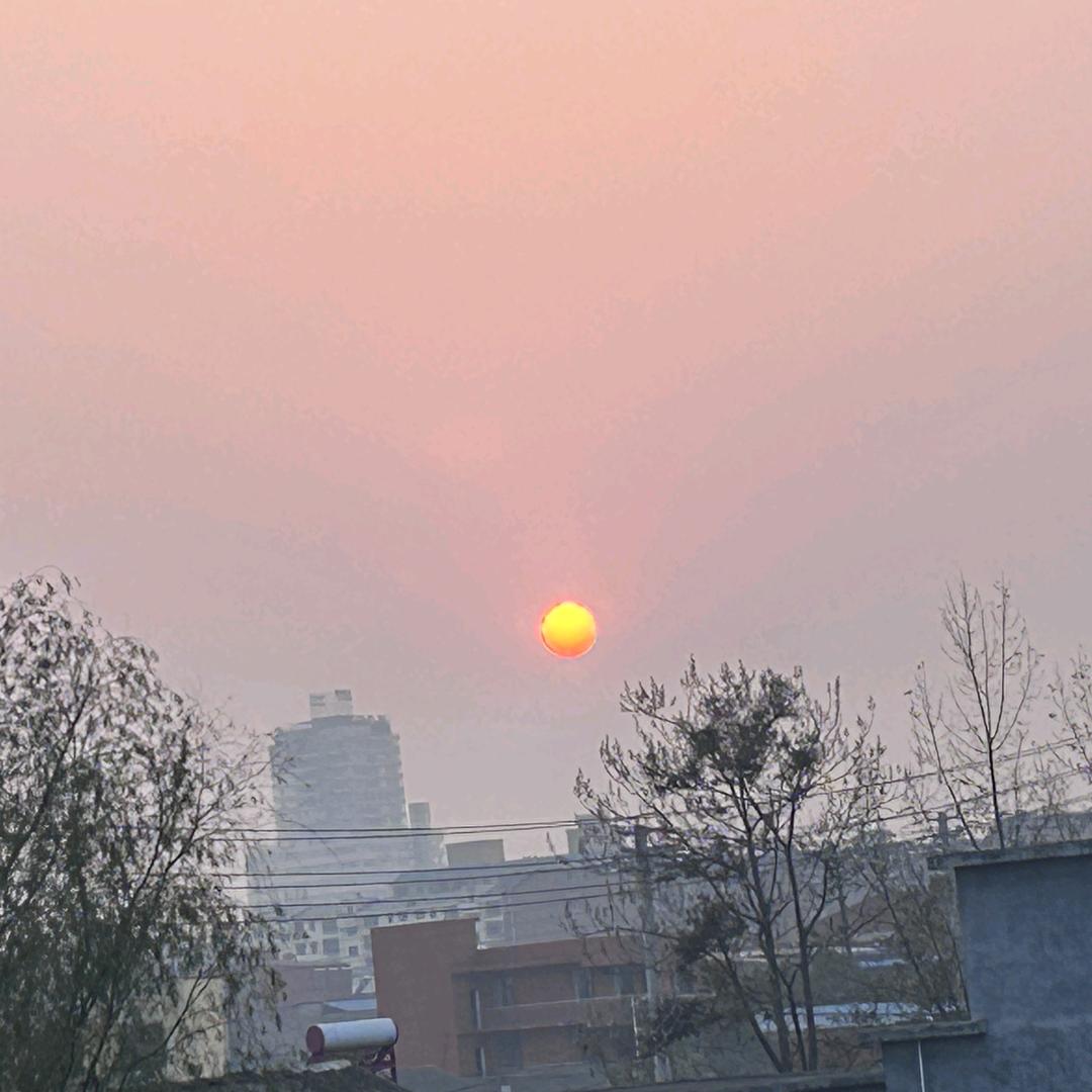 鑫怡