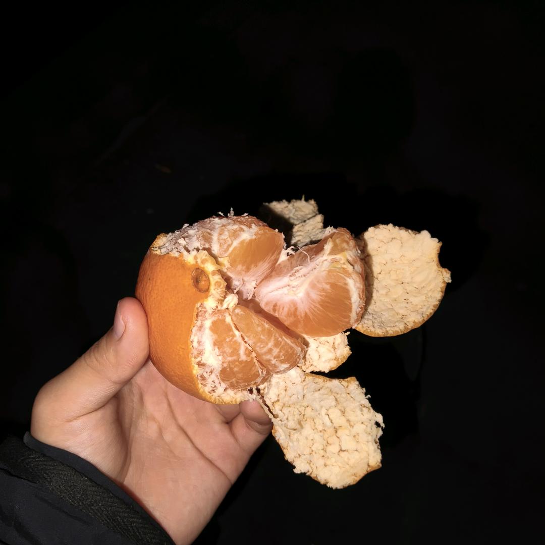 李ff