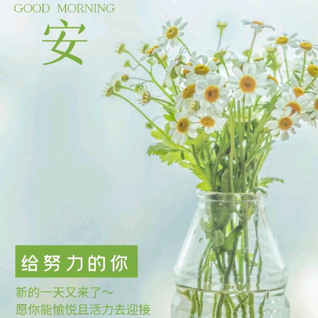 孙老师高报课堂（吉林）