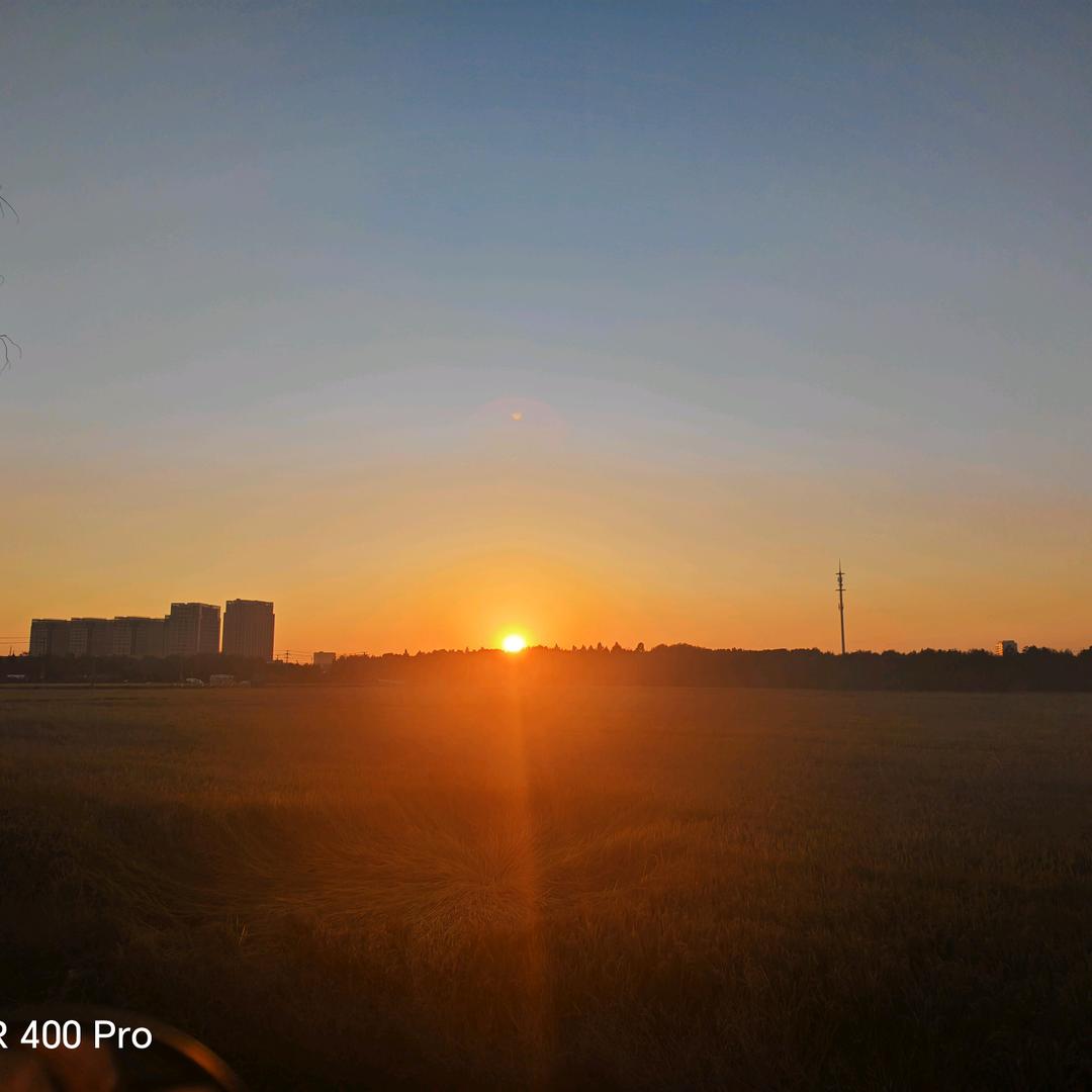 （河南勤姐）工厂直招，长白班