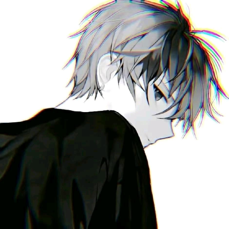 君雪车队