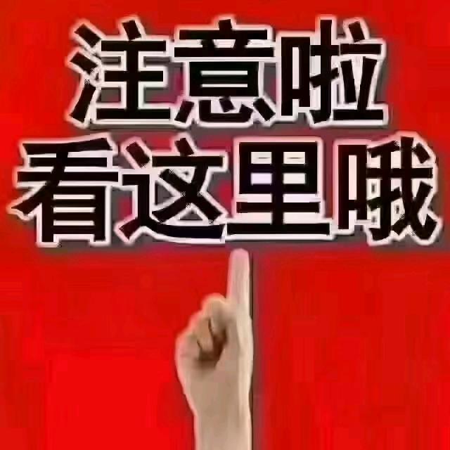 浪迹天涯