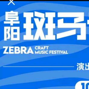 阜阳斑马音乐节-星广华纳文化